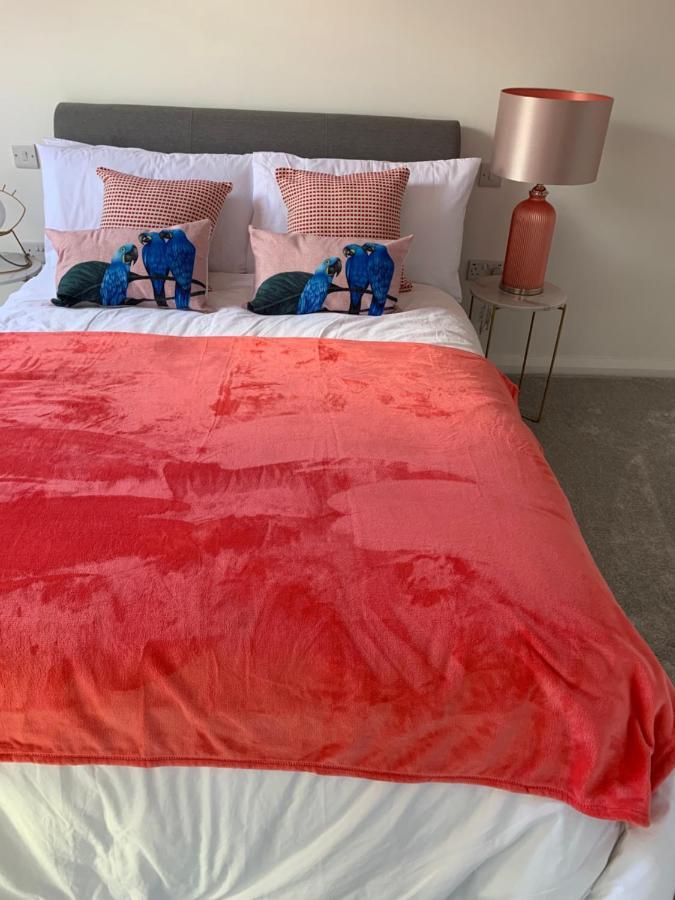 The Stable Springmount Accommodation Dromara المظهر الخارجي الصورة