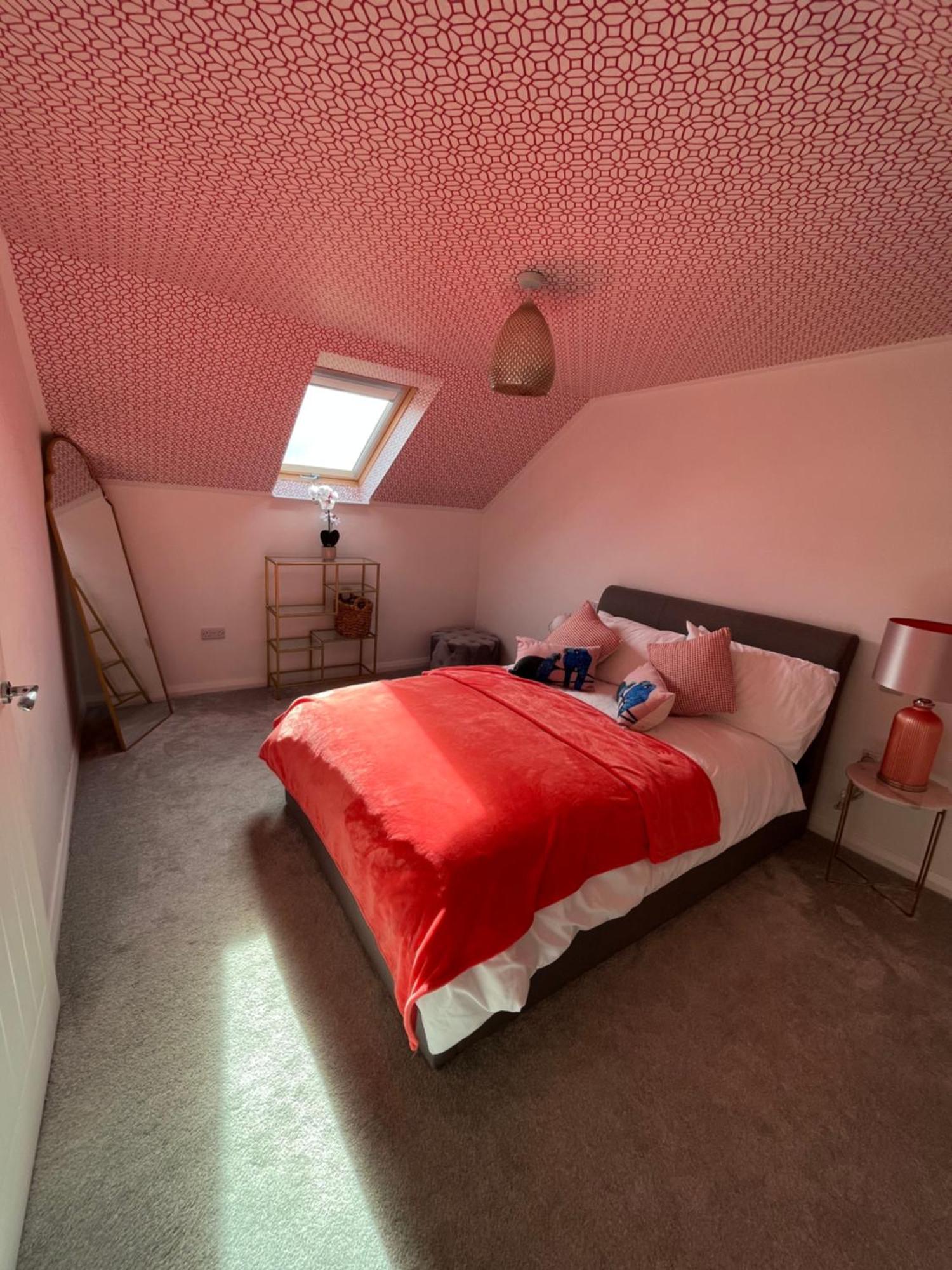The Stable Springmount Accommodation Dromara المظهر الخارجي الصورة